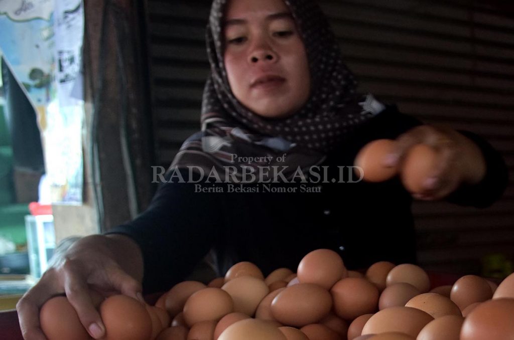 Permintaan Meningkat, Harga Bahan Pokok Naik