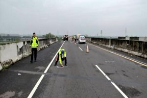 Truk Angkut Sapi Ditabrak Boks, Sapi Berhamburan, Kecelakaan Beruntun di Jalan Tol