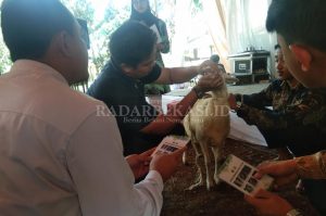 APRN Ajak Milenial Beternak dan Berkebun