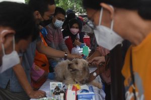 269 Hewan Disuntik Rabies
