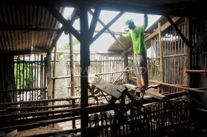 Korban Puting Beliung Gadai Sawah