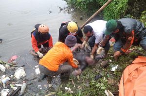 Mayat Perempuan Ditemukan Mengambang di Kali CBL