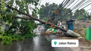 Angin Kencang Sebabkan Pohon Tumbang di Jalan Ratna