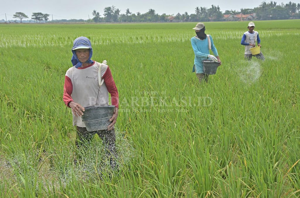 Petani di Cabang Bungin Kesulitan Air untuk Irigasi
