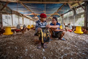Sentuh Grassroot, Penyaluran Kredit Mikro BRI Tumbuh 13,92 Persen Capai Rp551,26 triliun   