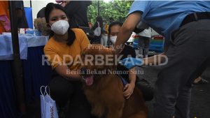 Parade Foto Vaksinasi Rabies Hewan Peliharaan