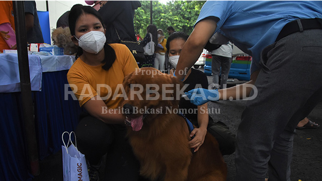 Parade Foto Vaksinasi Rabies Hewan Peliharaan
