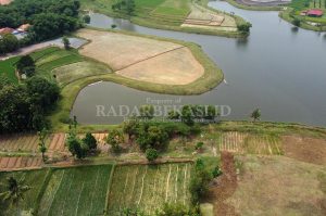 Wagub Dorong Pertanian Harus jadi Skala Prioritas