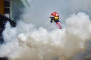 Warning Lonjakan Kasus DBD, Dinkes Catat 287 Kasus di Awal Tahun 2023