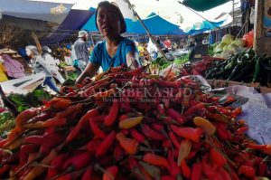 Harga Cabai Tembus Rp 80 Ribu