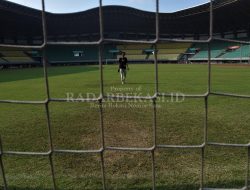 Kondisi Rumput Stadion Disoal