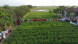 Simbol Hancurkan Bhuta Kala, Arak Ogoh-Ogoh Keliling Sawah di Kabupaten Bekasi Sebelum Nyepi