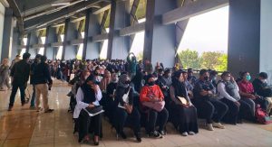 Kesulitan Cari Kerja, Tertipu Calo