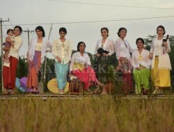 Peragaan Busana di Pematang Sawah