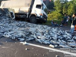 Sopir Diduga Ngantuk, Truk Muatan Ikan Terguling di Tol Jakarta-