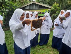 Kisah Pengusaha Madu Siantar Raih Sukses dan Berdayakan Masyarakat, Sukses Bersama BRI