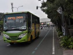 Transpatriot Dipastikan Kembali Mengaspal
