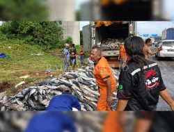 Truk Pengangkut Ikan Terbalik