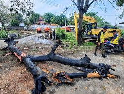 84 Ton Sampah Diangkut dari Kali Jambe