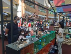 Summarecon Mall Bekasi Hadirkan Pameran Hewan Peliharaan dan Tanaman Hias   