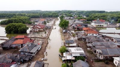 Sekilas “Wajah” Desa Pantai Bahagia Muaragembong