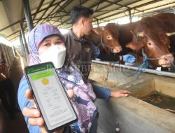 5.000 Petugas Siap Awasi Kesehatan Hewan Kurban di 27 Kota dan Kabupaten se-Jawa Barat