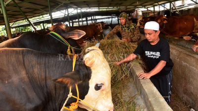 Bakal Latih 200 Juru Sembelih