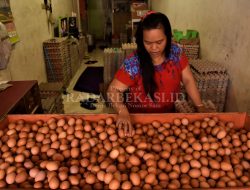 Jelang Nataru, Harga Telur hingga Cabai Meroket