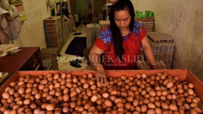 Jelang Nataru, Harga Telur hingga Cabai Meroket