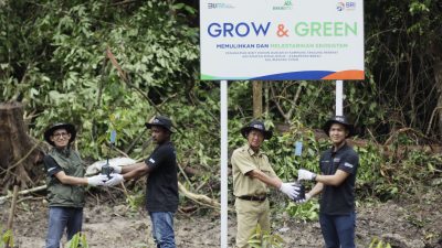 BRI Peduli Grow & Green Salurkan 2.500 Bibit Pohon Durian di Berau 