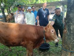 Rayakan Iduladha, HERO Group Salurkan Hewan Kurban untuk Masyarakat   