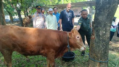 HERO Group menyalurkan hewan kurban untuk masyarakat. ISTIMEWA