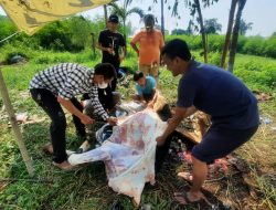 Pengelolaan Hewan Kurban DIhimbau Tidak Cermarkan Lingkungan