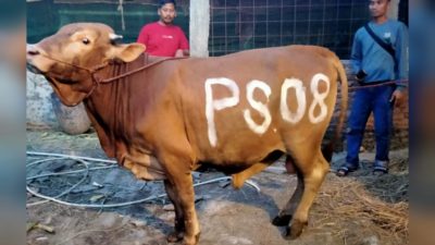 Juknis Pembayaran Dam Haji Telah Terbit, Dikenakan 580-720 Riyal