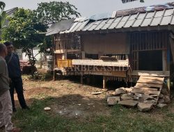 Pencurian Hewan Ternak Bikin Resah