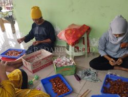 UMKM Kebaya Sulap Mangrove jadi Produk Mamin