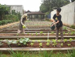 Kursus Melukis dan Berkebun