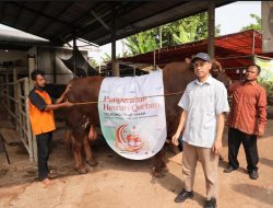Iduladha 1444 H, TelkomGroup Distribusikan Hewan Kurban ke Seluruh Indonesia