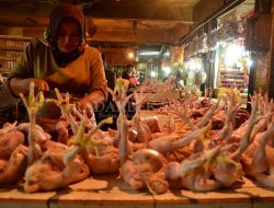 Update Harga Sembako Rabu 13 November 2024: Daging Ayam Ras Naik Jadi Rp38.070/kg