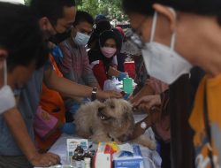 Segera Vaksin, Cegah Penularan Rabies