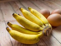 Kaya Manfaat, Pisang Bisa Bantu Turunkan Berat Badan Hingga Lancarkan Pencernaan