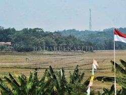 3.618 Hektar Sawah Terancam Gagal Tanam