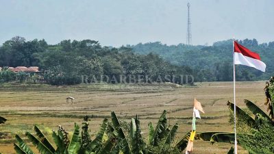 3.618 Hektar Sawah Terancam Gagal Tanam