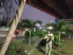 Antisipasi Kekeringan Taman