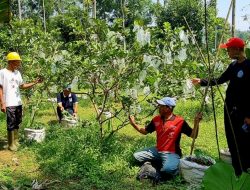 Masyarakat Bersama Pabrik AQUA Caringin Bersemangat Jalankan Program Merawat Bumi     