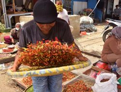 Kemarau, Harga Cabai Merangkak Naik