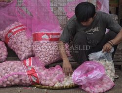 Kinerja Pemkab Belum Maksimal Atasi Pengangguran