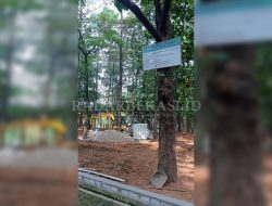 Rp 2,7 Miliar Revitalisasi Hutan Kota