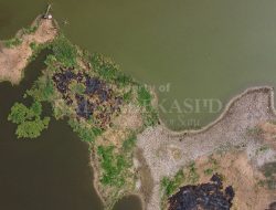 Muncul Pulau Baru di Situ Cibeureum