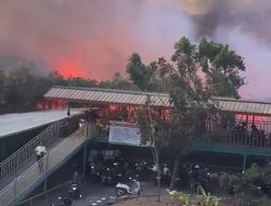 Lahan Kosong 10 Hektar Dekat Kampus Ubhara Kota Bekasi Terbakar, Begini Kondisinya